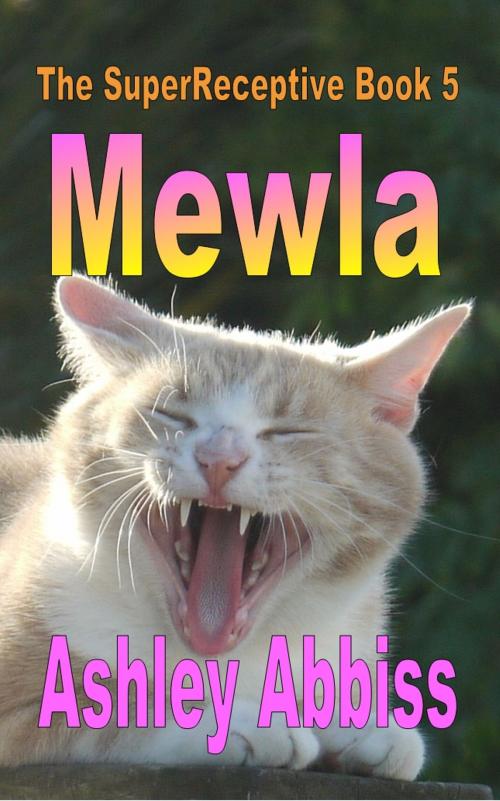Cover of the book Mewla by Ashley Abbiss, Ashley Abbiss