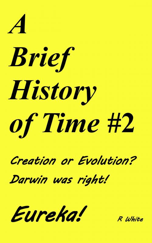 Cover of the book A Brief History of Time #2 by R White, R White