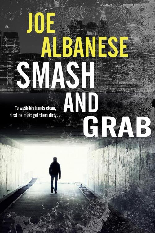 Cover of the book Smash and Grab by Joe Albanese, Books to Go Now