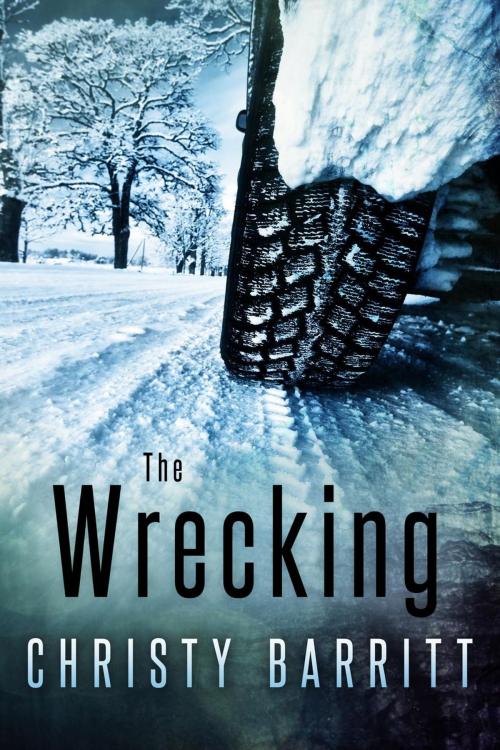 Cover of the book The Wrecking by Christy Barritt, Christy Barritt