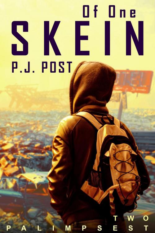 Cover of the book Of One Skein by P.J. Post, P.J. Post