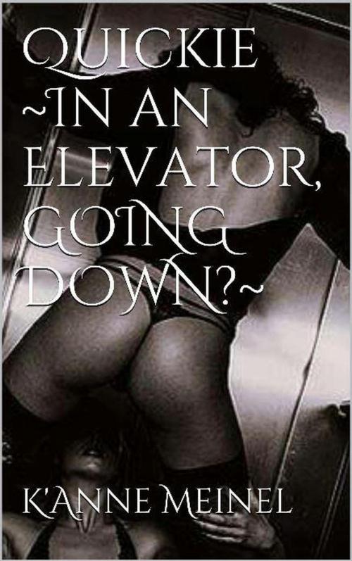 Cover of the book Quickie in an Elevator. Going down? by K'Anne Meinel, Shadoe Publishing