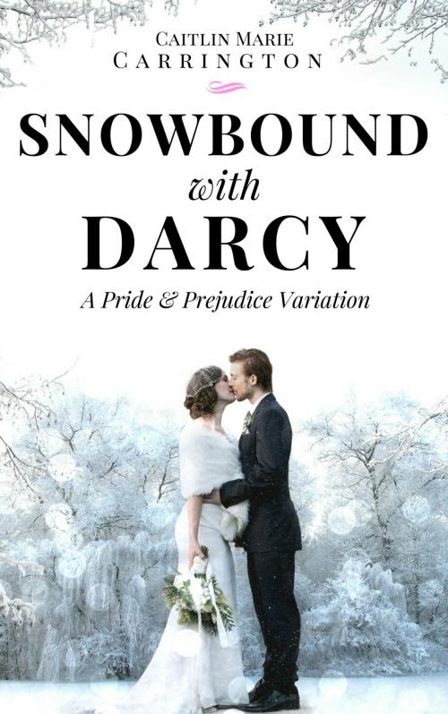 Cover of the book Snowbound with Darcy by Caitlin Marie Carrington, Caitlin Marie Carrington