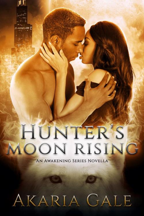 Cover of the book Hunter's Moon Rising by Akaria Gale, Akaria Gale