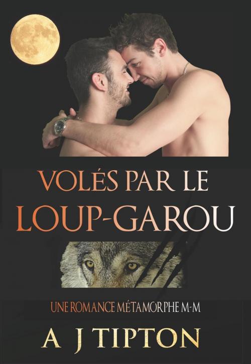 Cover of the book Volés par le Loup-Garou: Une Romance Métamorphe M-M by AJ Tipton, AJ Tipton Enterprises, LLC