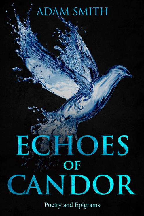 Cover of the book Echoes of Candor Poetry and Epigrams by Adam Smith, Adam Smith