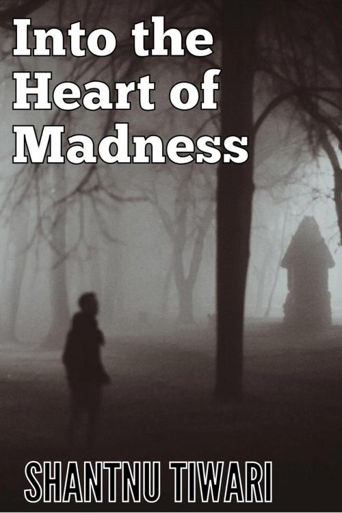 Cover of the book Into the Heart of Madness by Shantnu Tiwari, Shantnu Tiwari