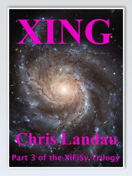 Cover of the book Xing by Chris Landau, Chris Landau