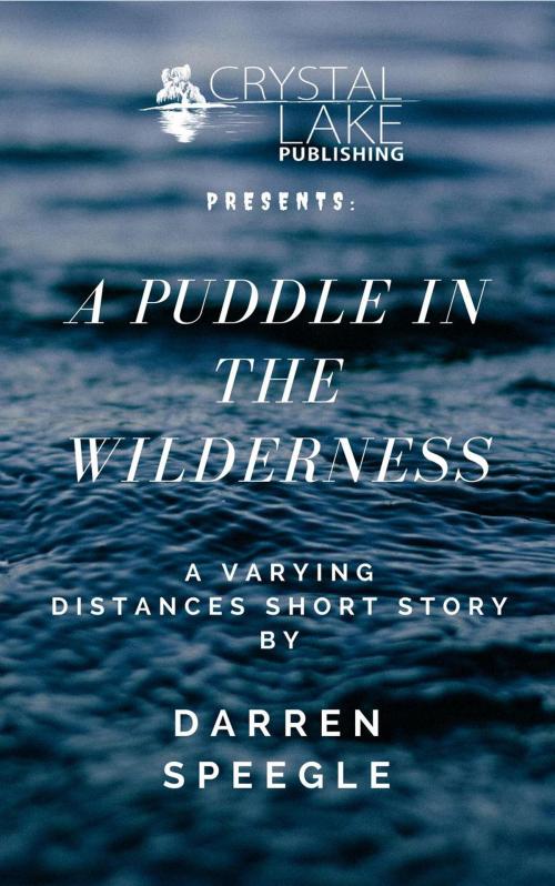 Cover of the book A Puddle in the Wilderness by Darren Speegle, Crystal Lake Publishing