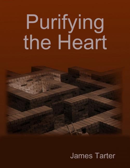 Cover of the book Purifying the Heart by James Tarter, Lulu.com