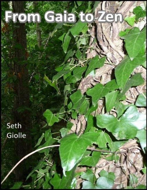 Cover of the book From Gaia to Zen by Seth Giolle, Lulu.com