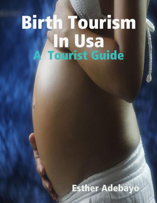 Cover of the book Birth Tourism In Usa: A Tourist Guide by Esther Adebayo, Lulu.com