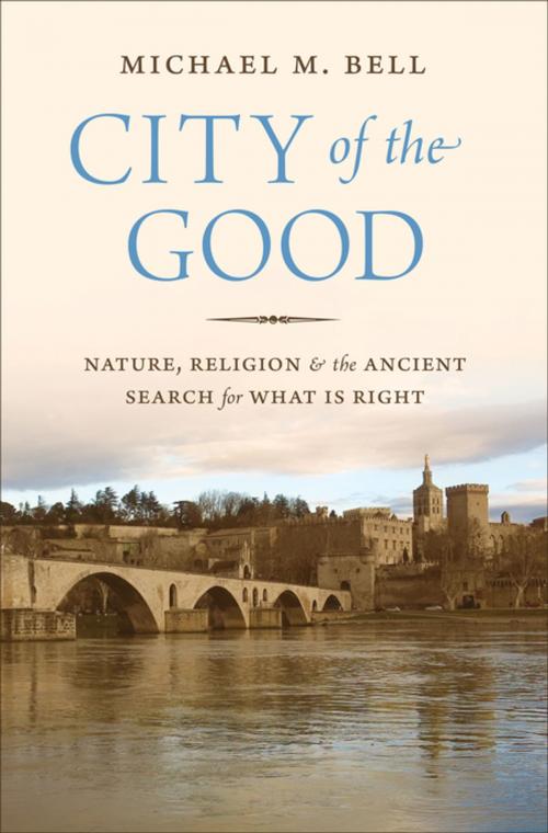Cover of the book City of the Good by Michael Mayerfield Bell, Princeton University Press