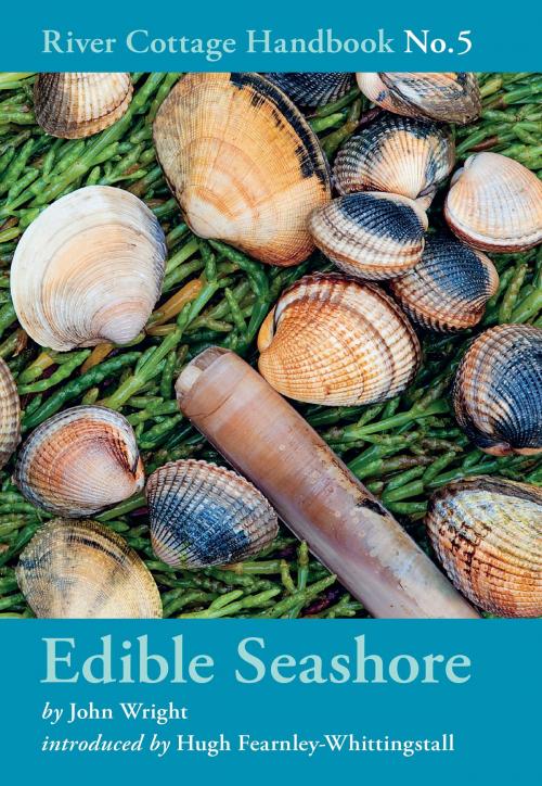 Cover of the book Edible Seashore by John Wright, Bloomsbury Publishing