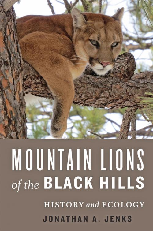 Cover of the book Mountain Lions of the Black Hills by Jonathan A. Jenks, Johns Hopkins University Press