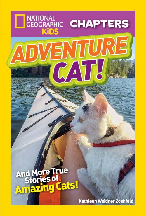 Cover of the book National Geographic Kids Chapters: Adventure Cat! by Kathleen Weidner Zoehfeld, National Geographic Society