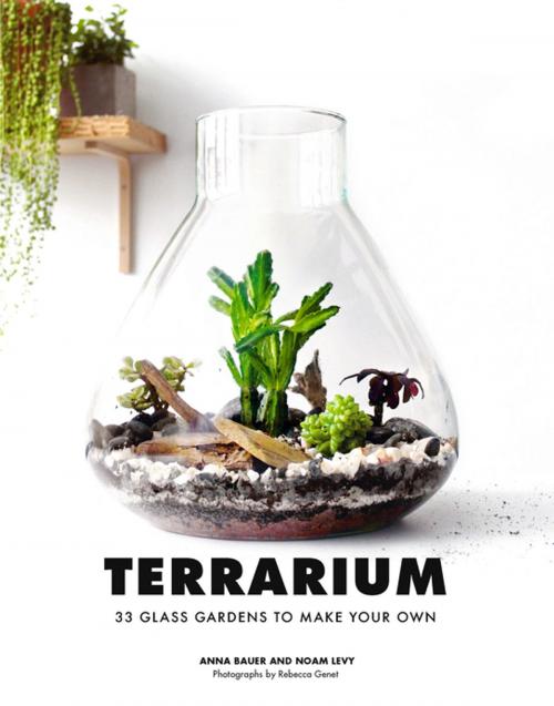 Cover of the book Terrarium by Anna Bauer, Noam Levy, Chronicle Books LLC