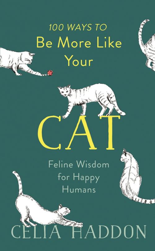 Cover of the book 100 Ways to Be More Like Your Cat by Celia Haddon, Hodder & Stoughton