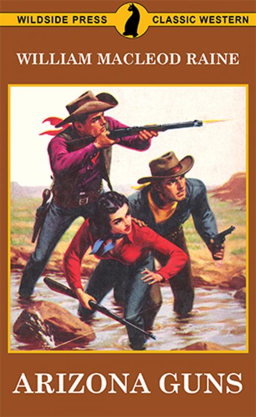 Cover of the book Arizona Guns by William MacLeod Raine, Wildside Press LLC