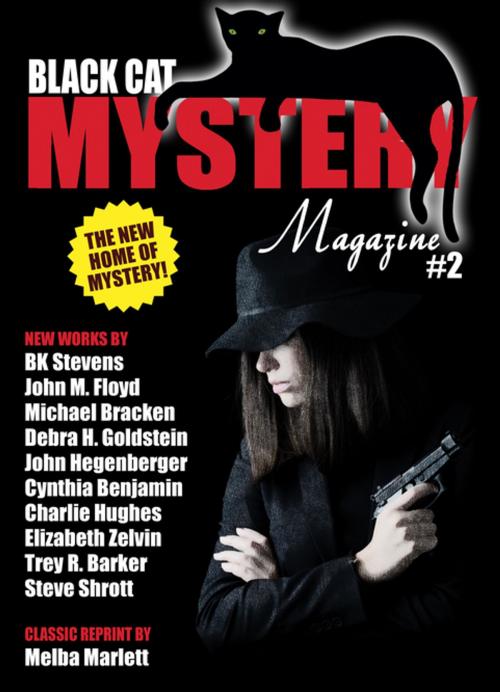 Cover of the book Black Cat Mystery Magazine #2 by Michael Bracken, John Hegenberger, Elizabeth Zelvin, Debra H. Goldstein, John M. Floyd, Wildside Press LLC