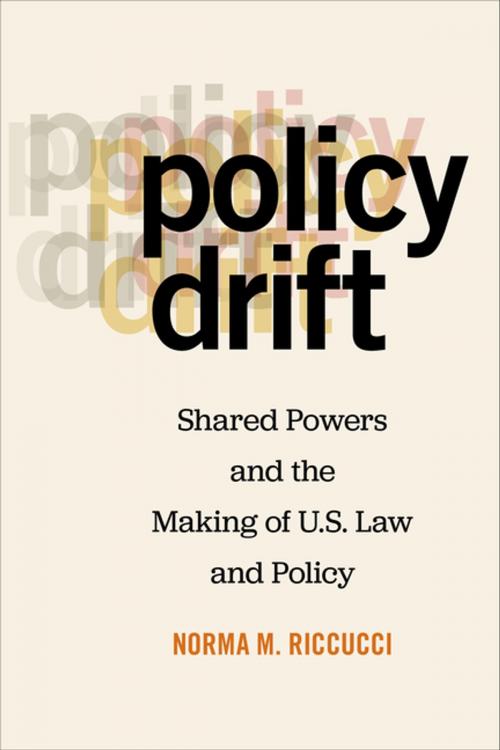 Cover of the book Policy Drift by Norma M. Riccucci, NYU Press