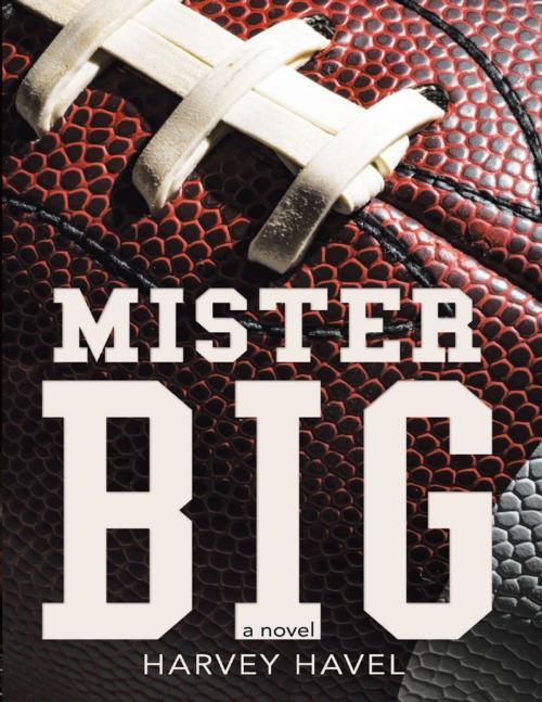 Cover of the book Mister Big: A Novel by Harvey Havel, Lulu Publishing Services