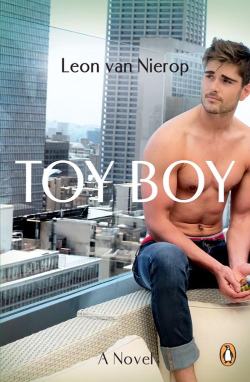 Cover of the book Toy Boy by Leon van Nierop, Penguin Random House South Africa