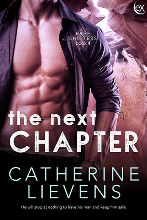 Cover of the book The Next Chapter by Catherine Lievens, eXtasy Books Inc