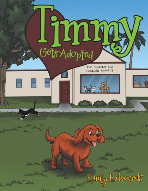 Cover of the book Timmy Gets Adopted by Emily Edwards, LifeRich Publishing