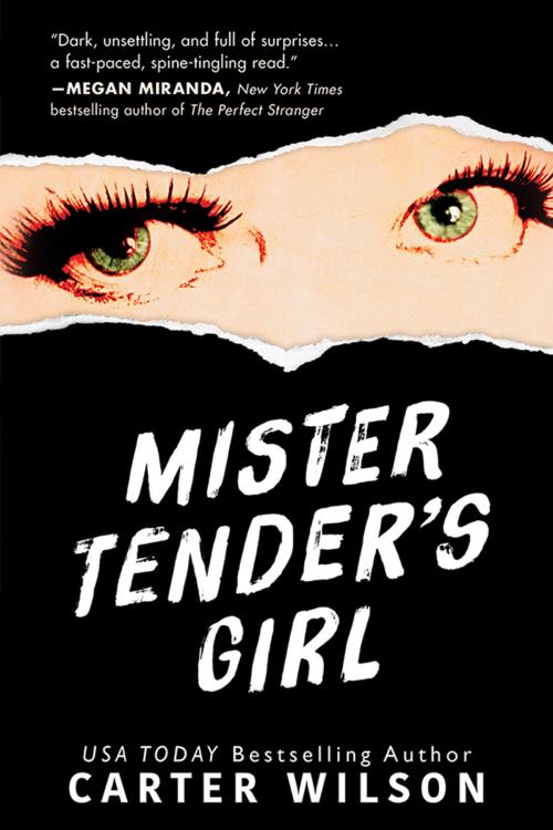 Cover of the book Mister Tender's Girl by Carter Wilson, Sourcebooks