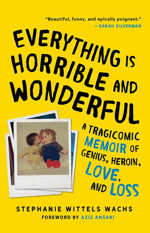 Cover of the book Everything Is Horrible and Wonderful by Stephanie Wittels Wachs, Sourcebooks