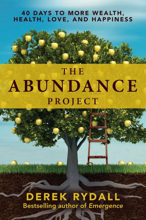Cover of the book The Abundance Project by Derek Rydall, Atria Books/Beyond Words