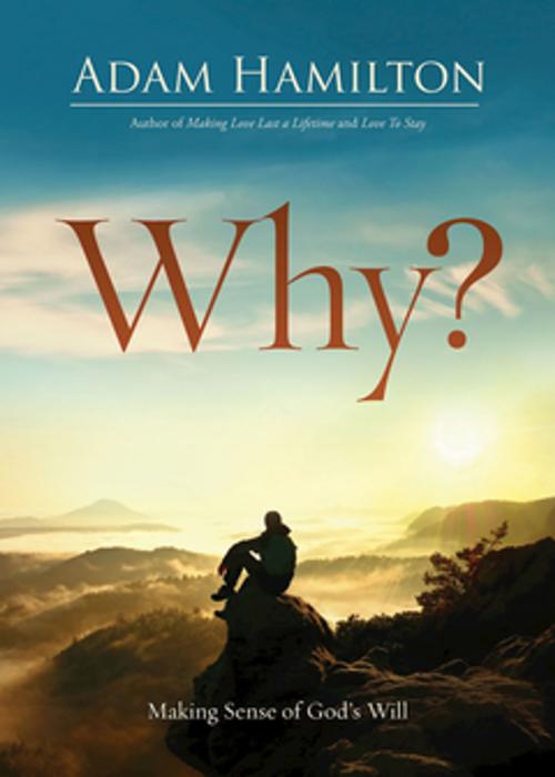 Cover of the book Why? by Adam Hamilton, Abingdon Press
