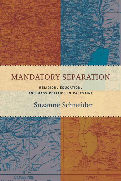 Cover of the book Mandatory Separation by Suzanne Schneider, Stanford University Press