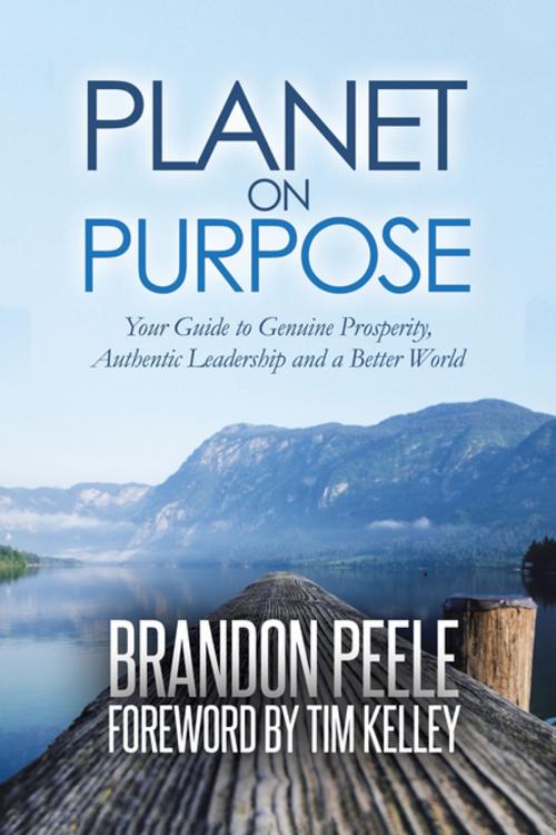 Cover of the book Planet on Purpose by Brandon Peele, Balboa Press