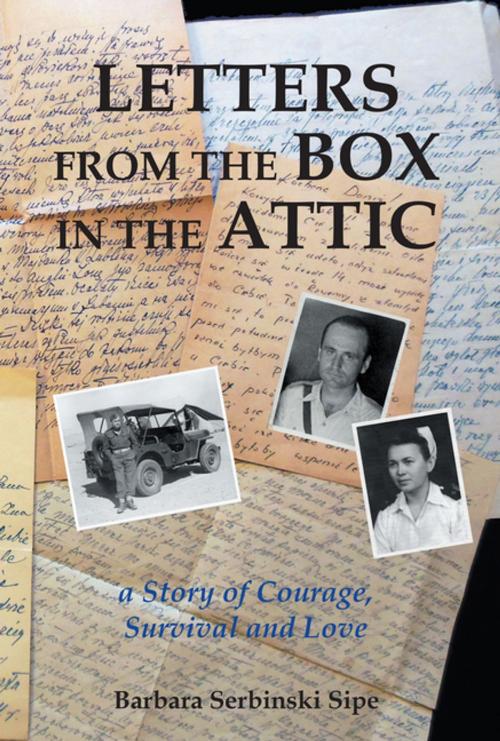 Cover of the book Letters from the Box in the Attic by Barbara Serbinski Sipe, Balboa Press