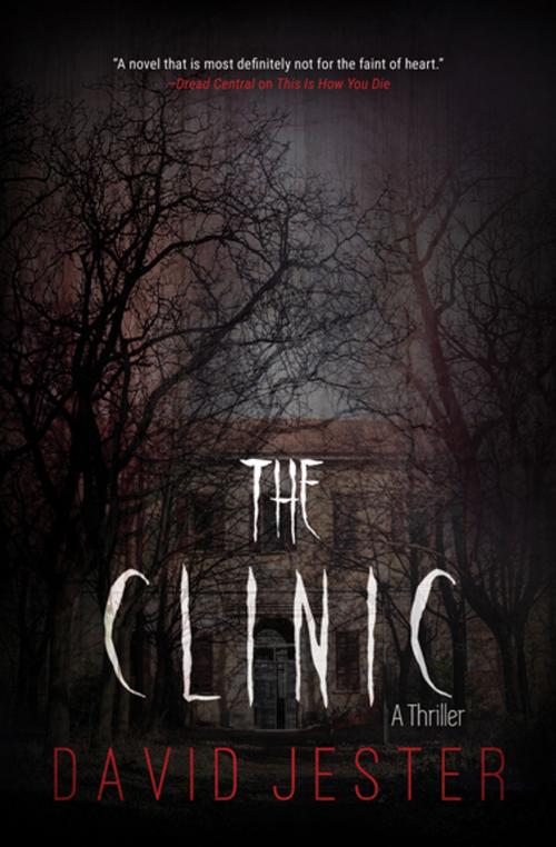 Cover of the book The Clinic by David Jester, Skyhorse Publishing