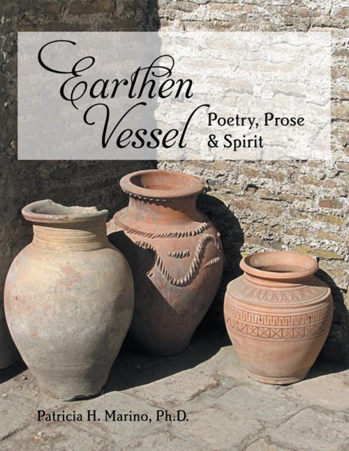 Cover of the book Earthen Vessel by Patricia H. Marino Ph D, Xlibris US