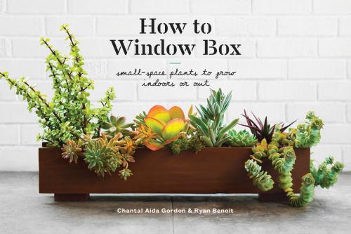 Cover of the book How to Window Box by Chantal Aida Gordon, Ryan Benoit, Potter/Ten Speed/Harmony/Rodale