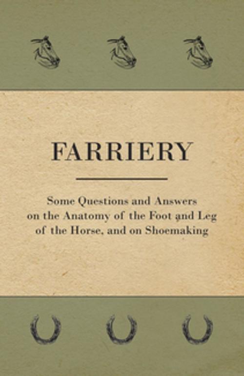 Cover of the book Farriery - Some Questions and Answers on the Anatomy of the Foot and Leg of the Horse, and on Shoemaking by Anon., Read Books Ltd.