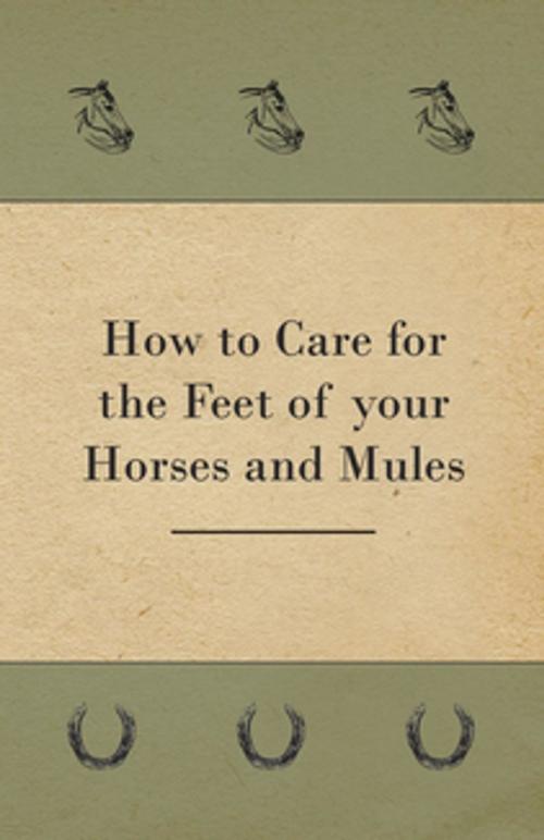 Cover of the book How to Care for the Feet of your Horses and Mules by Anon., Read Books Ltd.