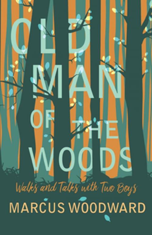Cover of the book Old Man of the Woods - Walks and Talks with Two Boys by Marcus Woodward, Read Books Ltd.