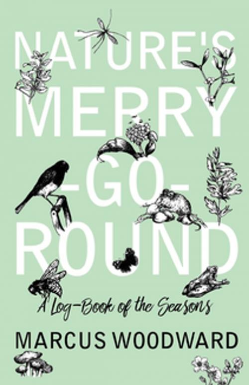 Cover of the book Nature's Merry-Go-Round - A Log-Book of the Seasons by Marcus Woodward, Read Books Ltd.