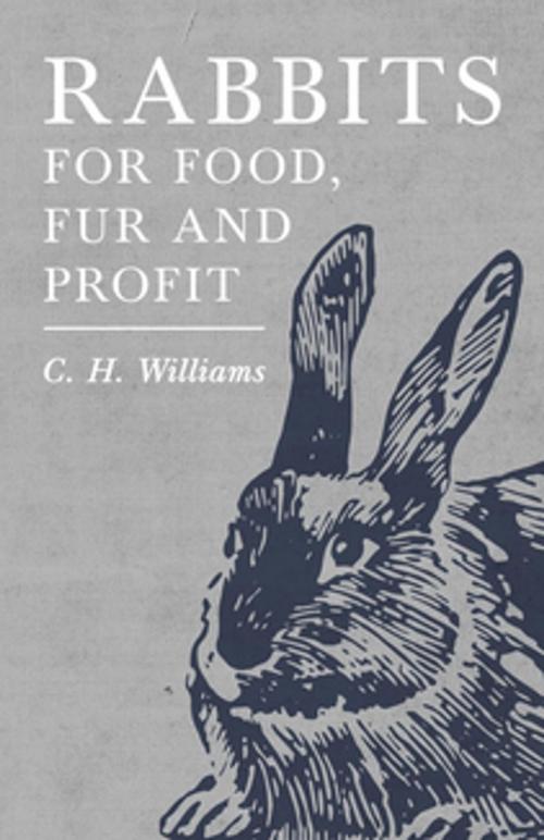 Cover of the book Rabbits for Food, Fur and Profit by C. H. Williams, Read Books Ltd.
