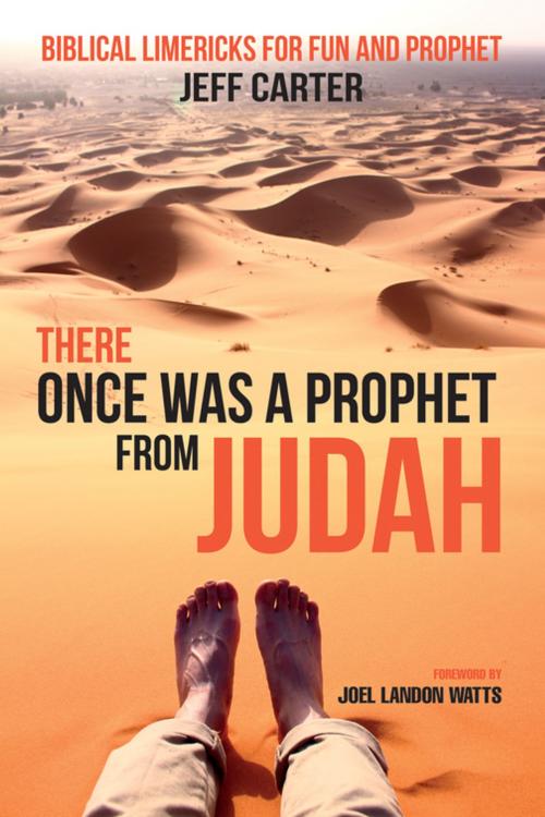 Cover of the book There Once Was a Prophet from Judah by Jeff Carter, Wipf and Stock Publishers