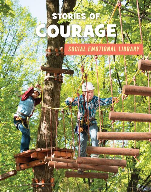 Cover of the book Stories of Courage by Jennifer Colby, Cherry Lake Publishing