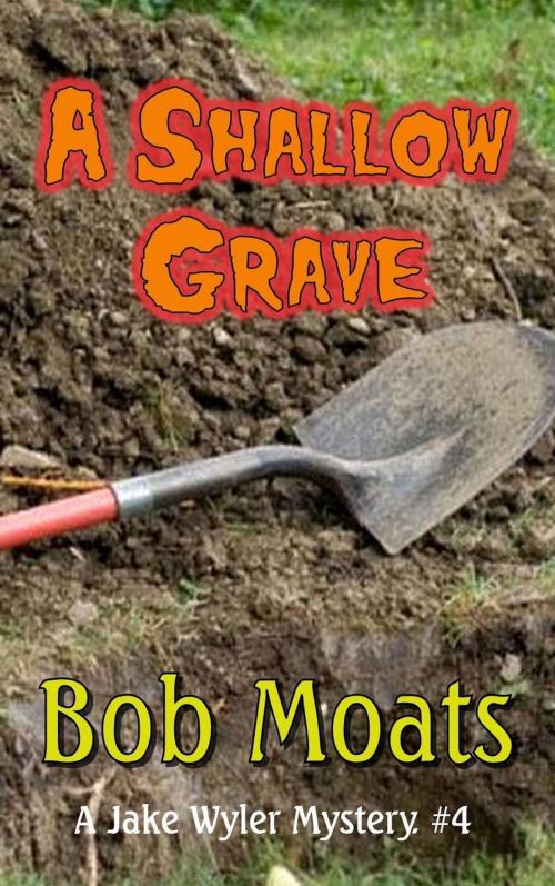 Cover of the book A Shallow Grave by Bob Moats, Bob Moats