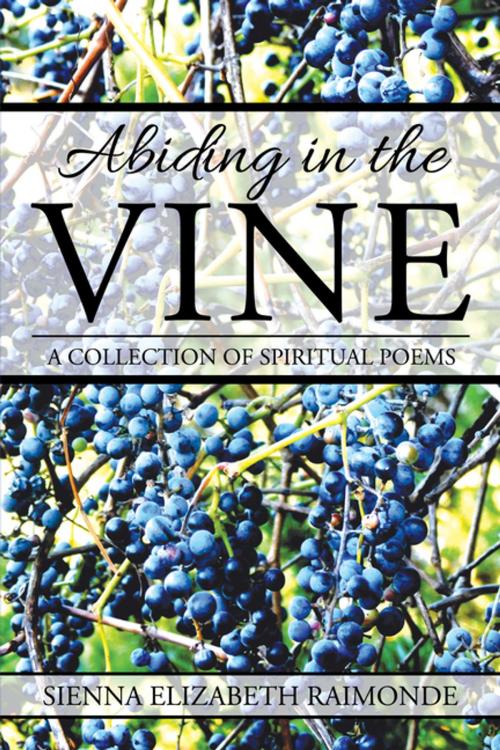 Cover of the book Abiding in the Vine by Sienna Elizabeth Raimonde, Xlibris US