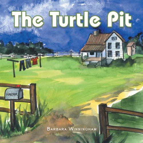 Cover of the book The Turtle Pit by Barbara Winningham, Xlibris US