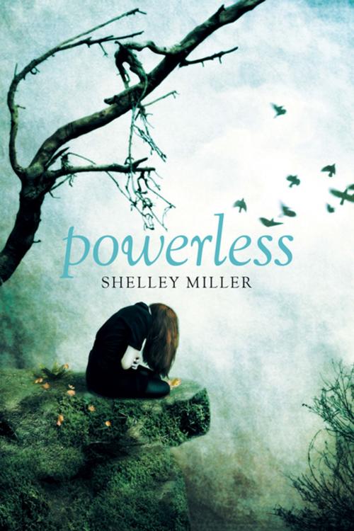 Cover of the book Powerless by Shelly Miller, Xlibris US